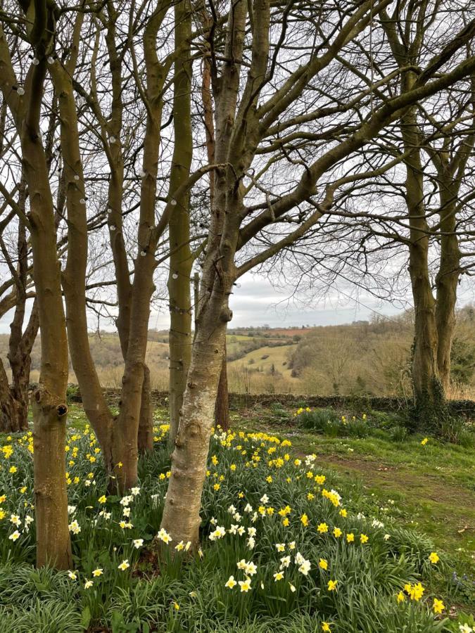 Hill House B & B & Luxury Shepherds Huts Castle Combe Exteriér fotografie